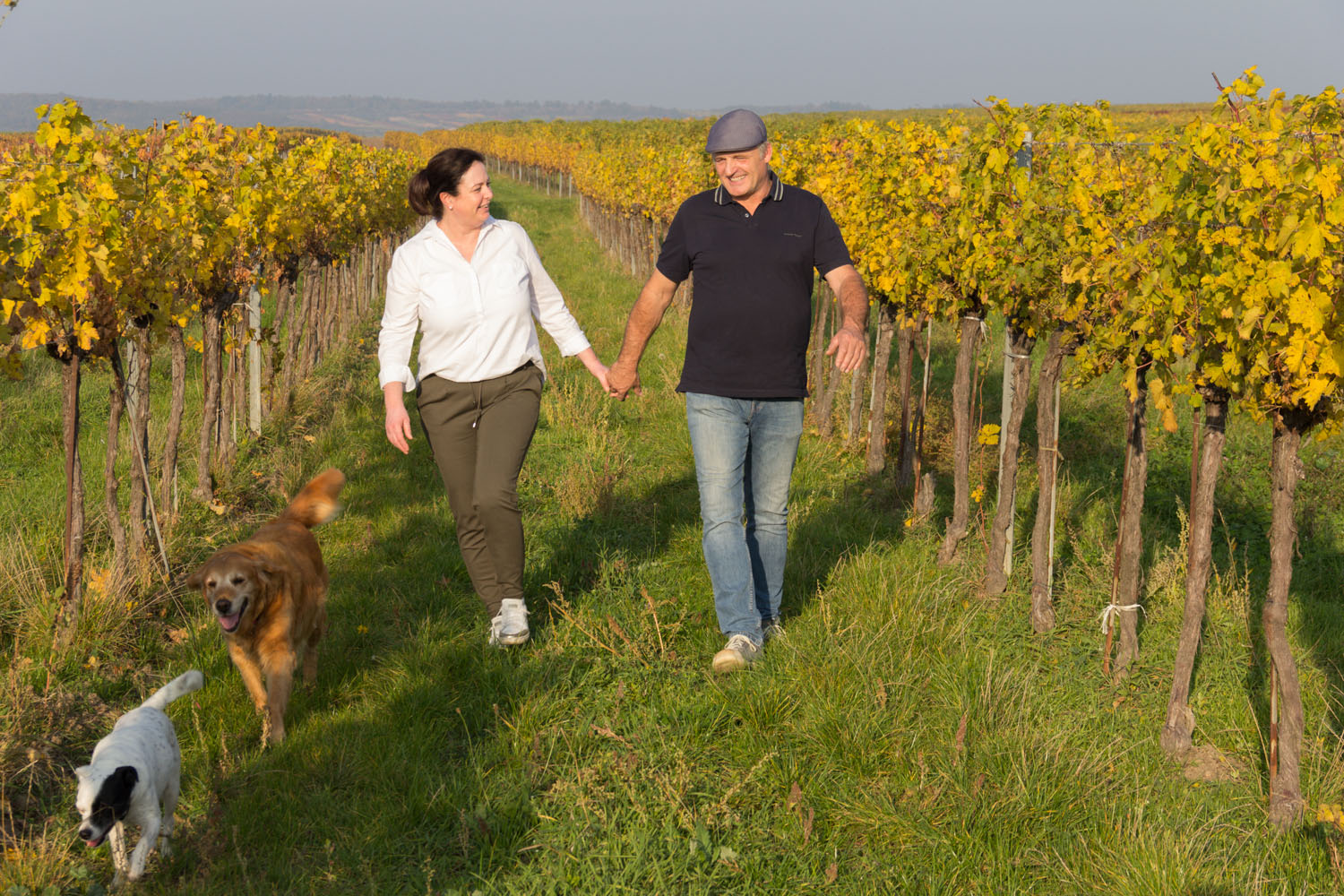 Biowally Obermarkersdorf